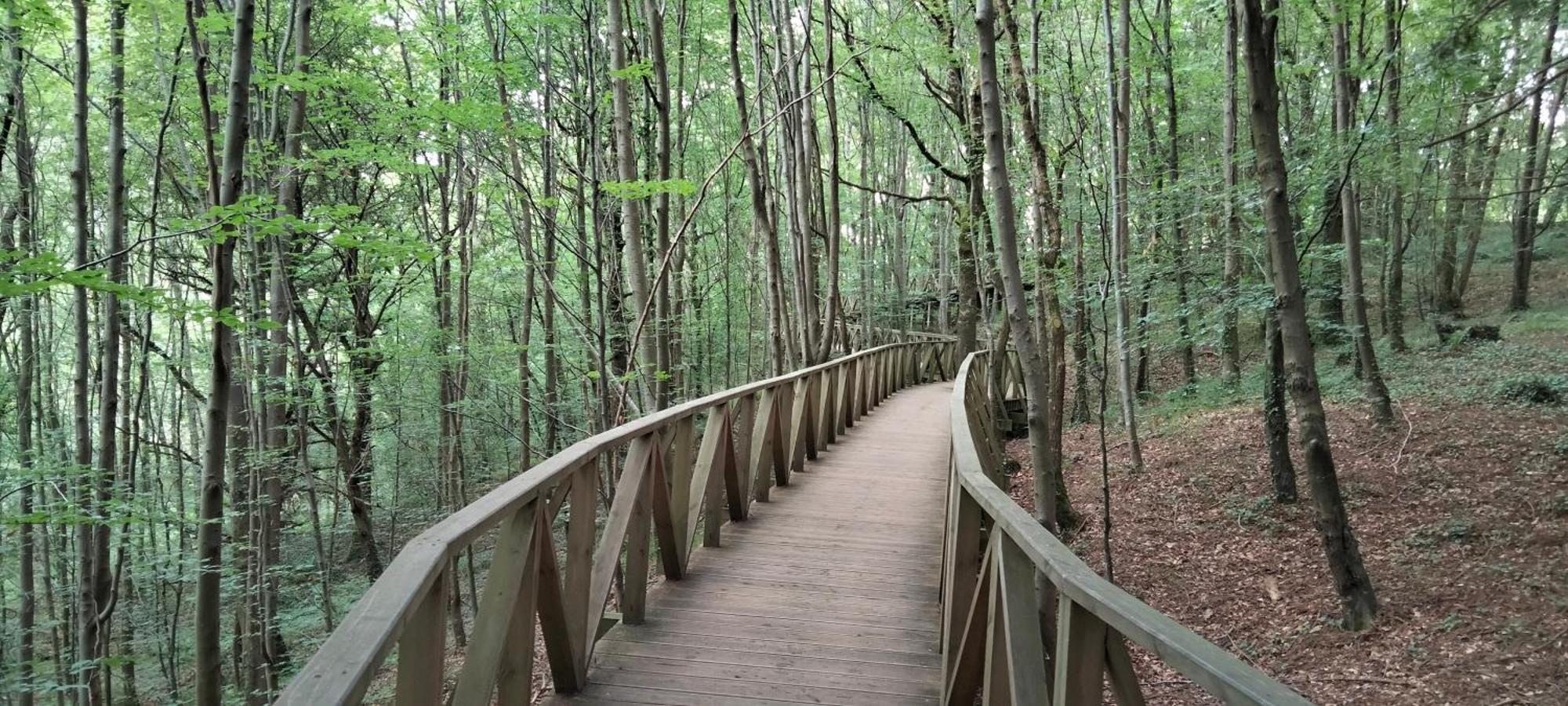 Altos De La Hayuela, A 7 Min De Comillas Esterno foto